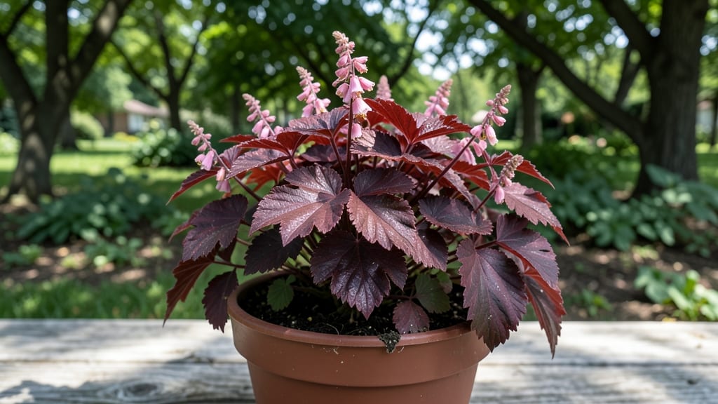 Coral Bells Bloom Time: Cold-Hardy Varieties That Rebound After Frost